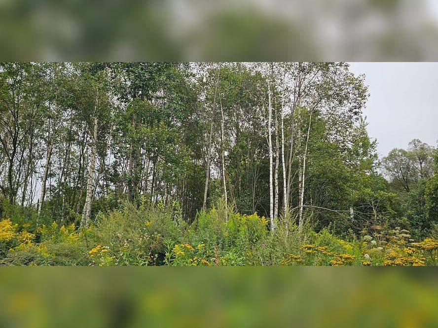 Продам земельный участок 786 м.кв.