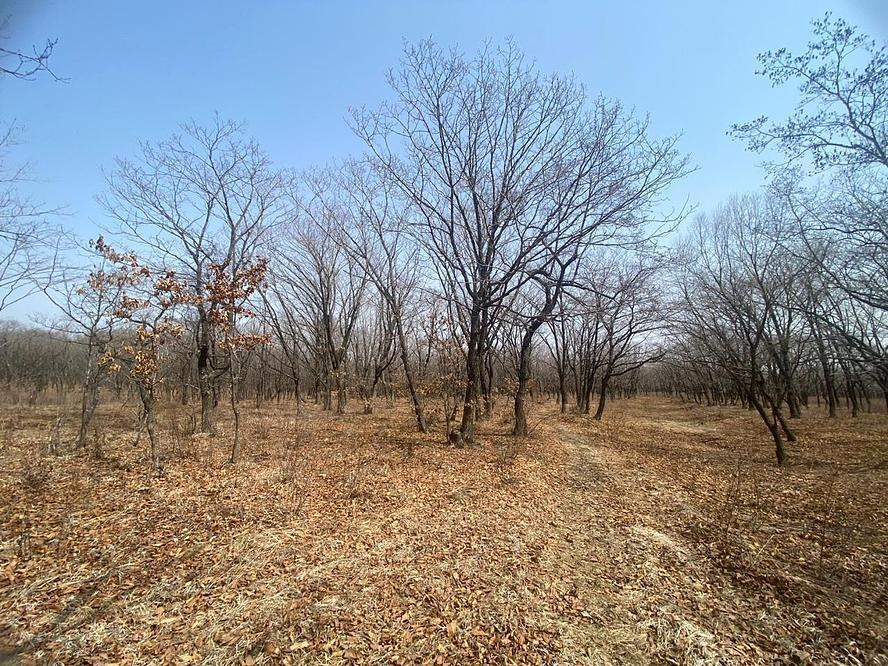 Продам земельный участок 13900 м.кв.