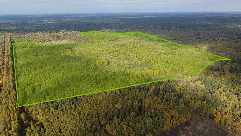 Участок в аренду в Варских