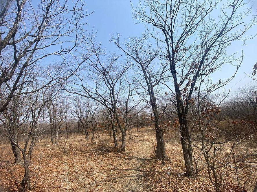 Продам земельный участок 13900 м.кв.