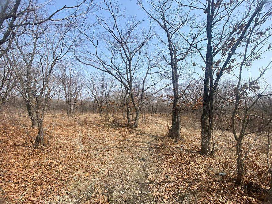 Продам земельный участок 13900 м.кв.