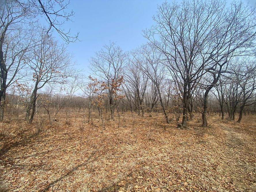 Продам земельный участок 13900 м.кв.