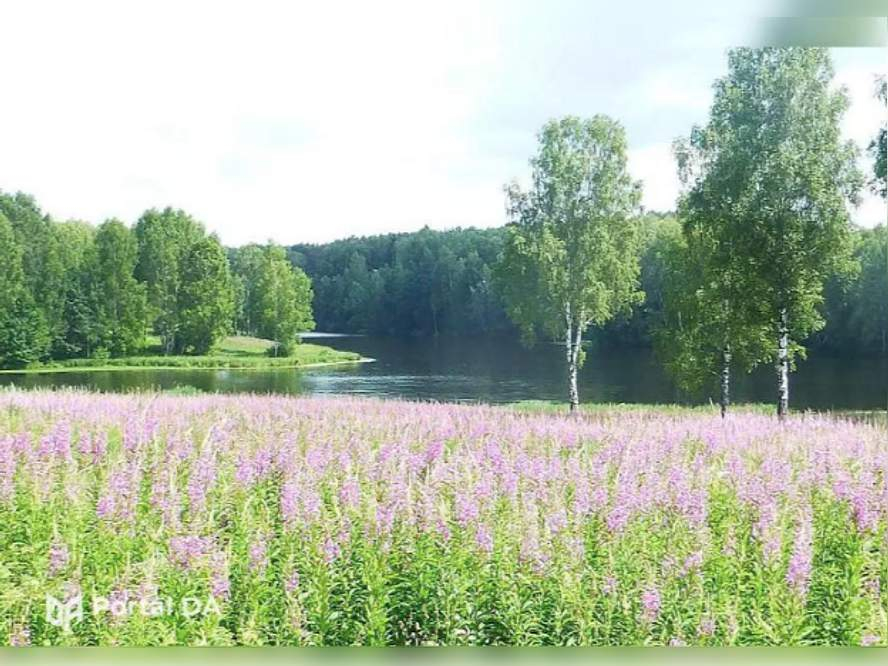 Участок на продажу в Гавриловке фото №1