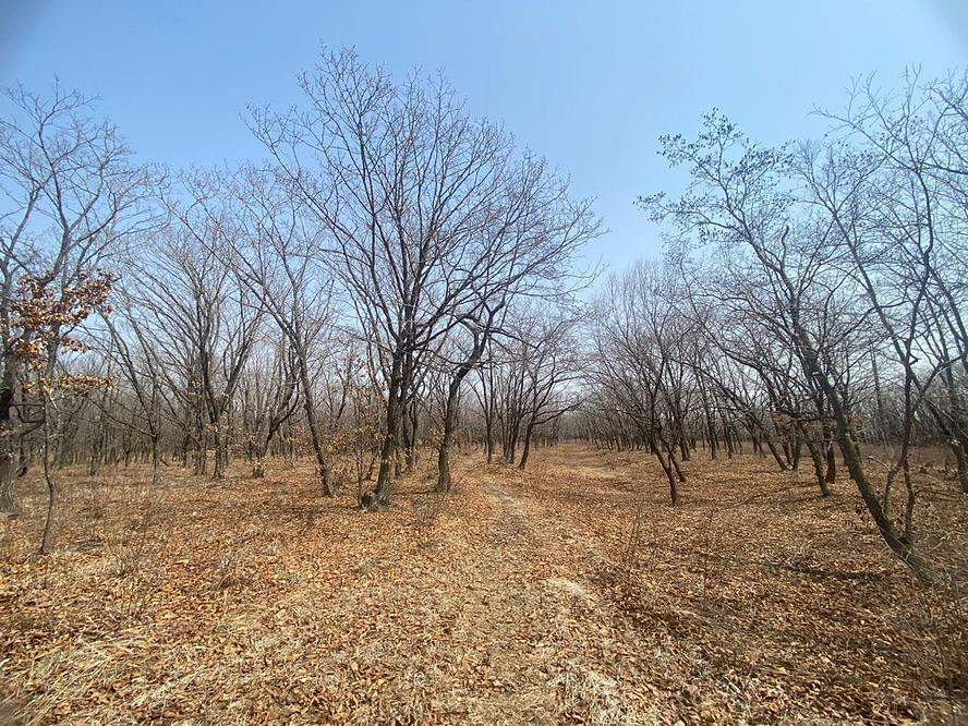 Продам земельный участок 13900 м.кв.