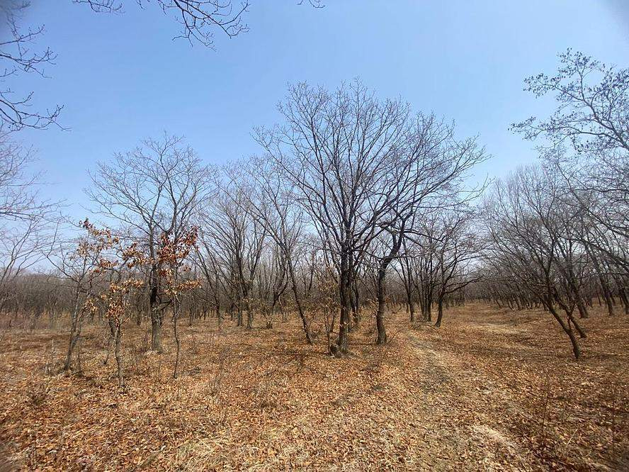 Продам земельный участок 13900 м.кв.