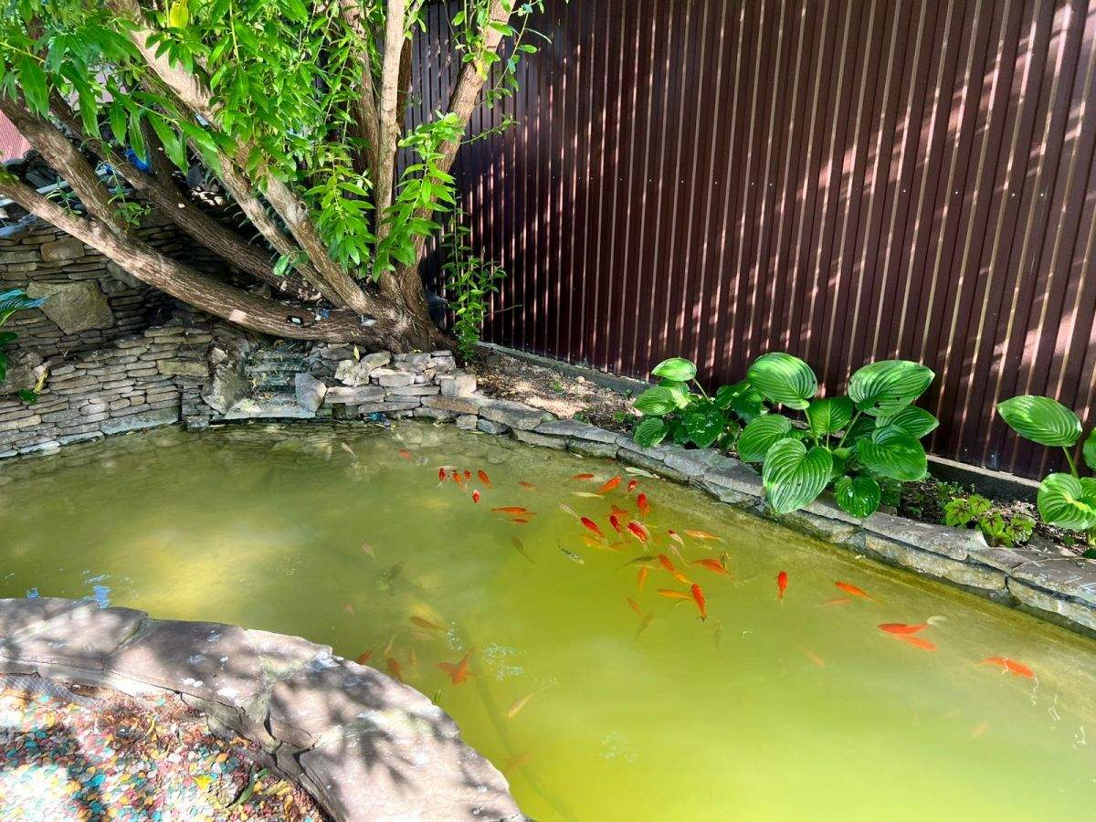 Дом на продажу в Краснодаре, им. Виктора Гришина улица, 34 фото №10