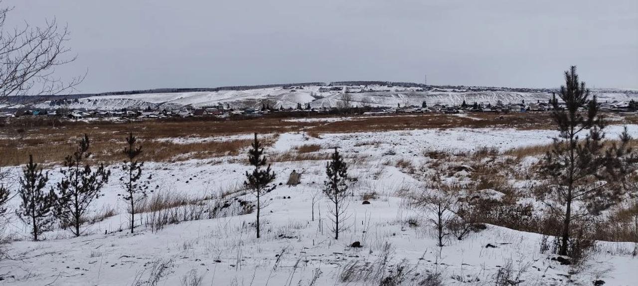 Участок на продажу в посёлке городского типа Емельяново, Емельяново-1 территория снт фото №0