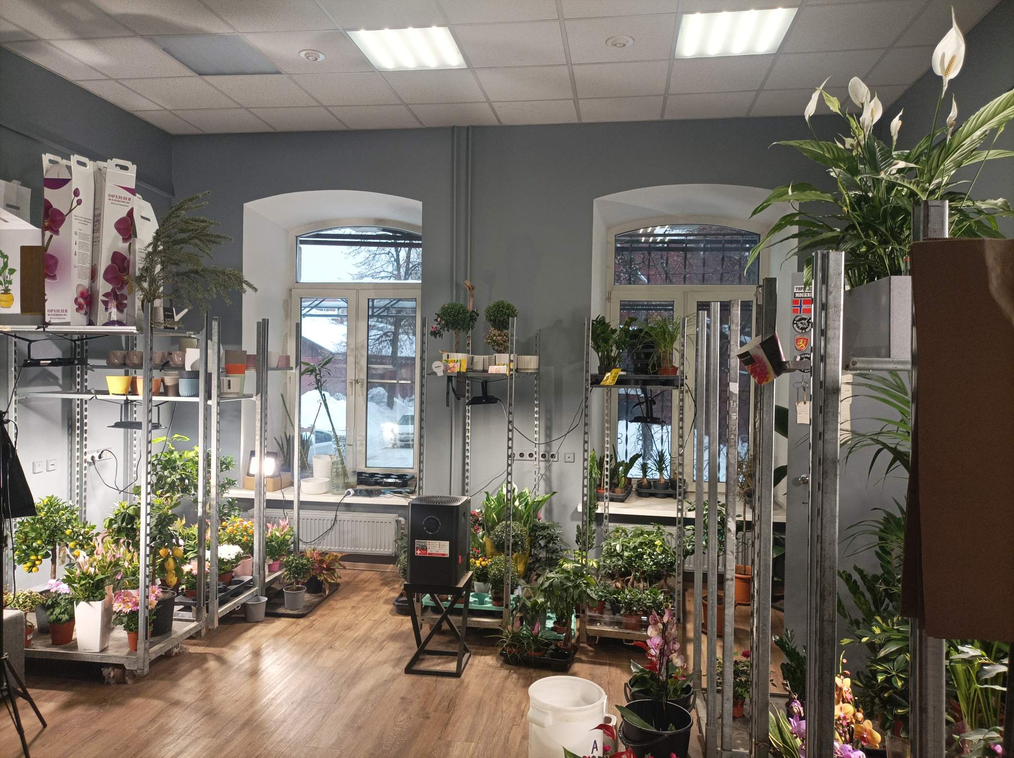 Сдам в аренду офис 51.5 м.кв.