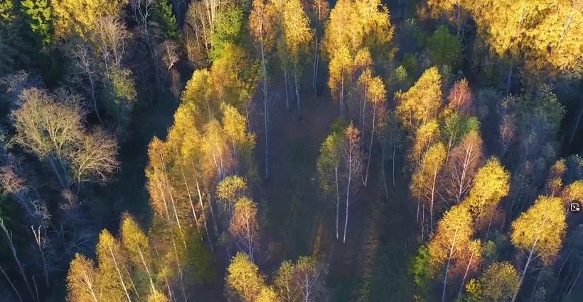 Участок на продажу в Стегнишино фото №14