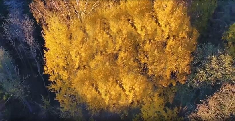Участок на продажу в Стегнишино фото №19