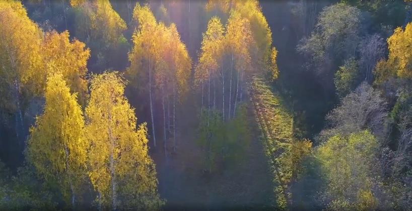 Участок на продажу в Стегнишино фото №3