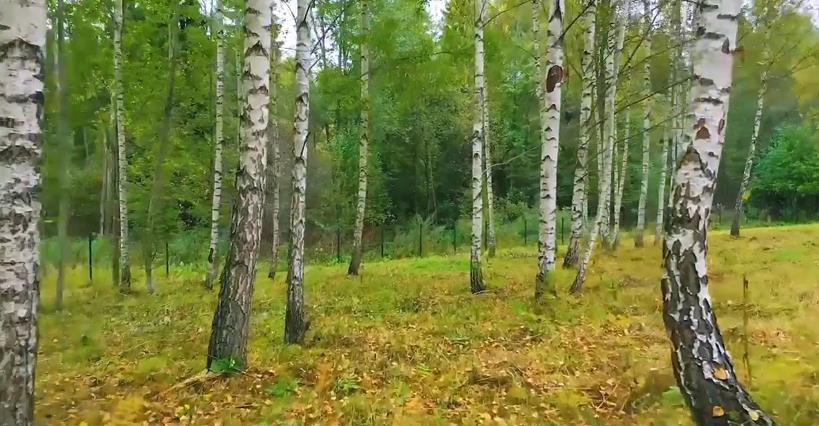 Участок на продажу в Стегнишино фото №4