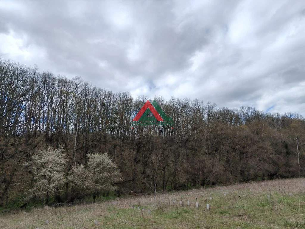 Продам земельный участок 14216 м.кв.