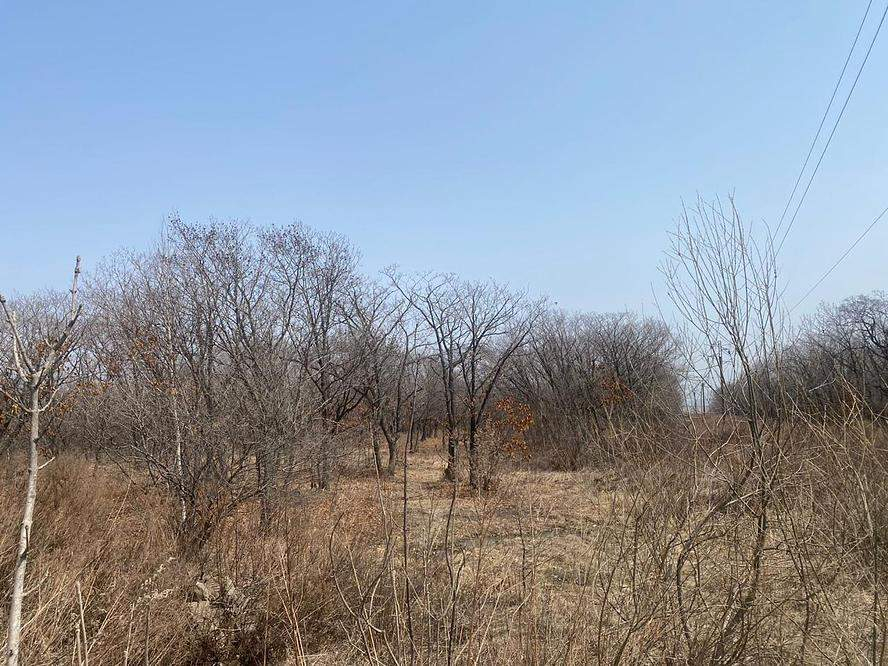 Продам земельный участок 13900 м.кв.