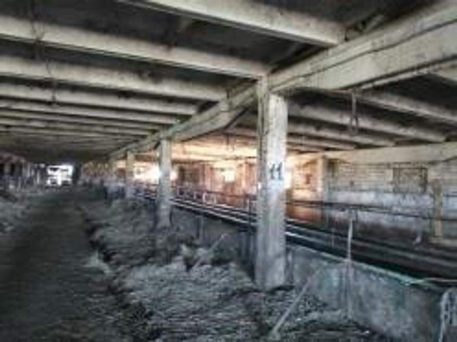 Продам земельный участок 60468 м.кв.