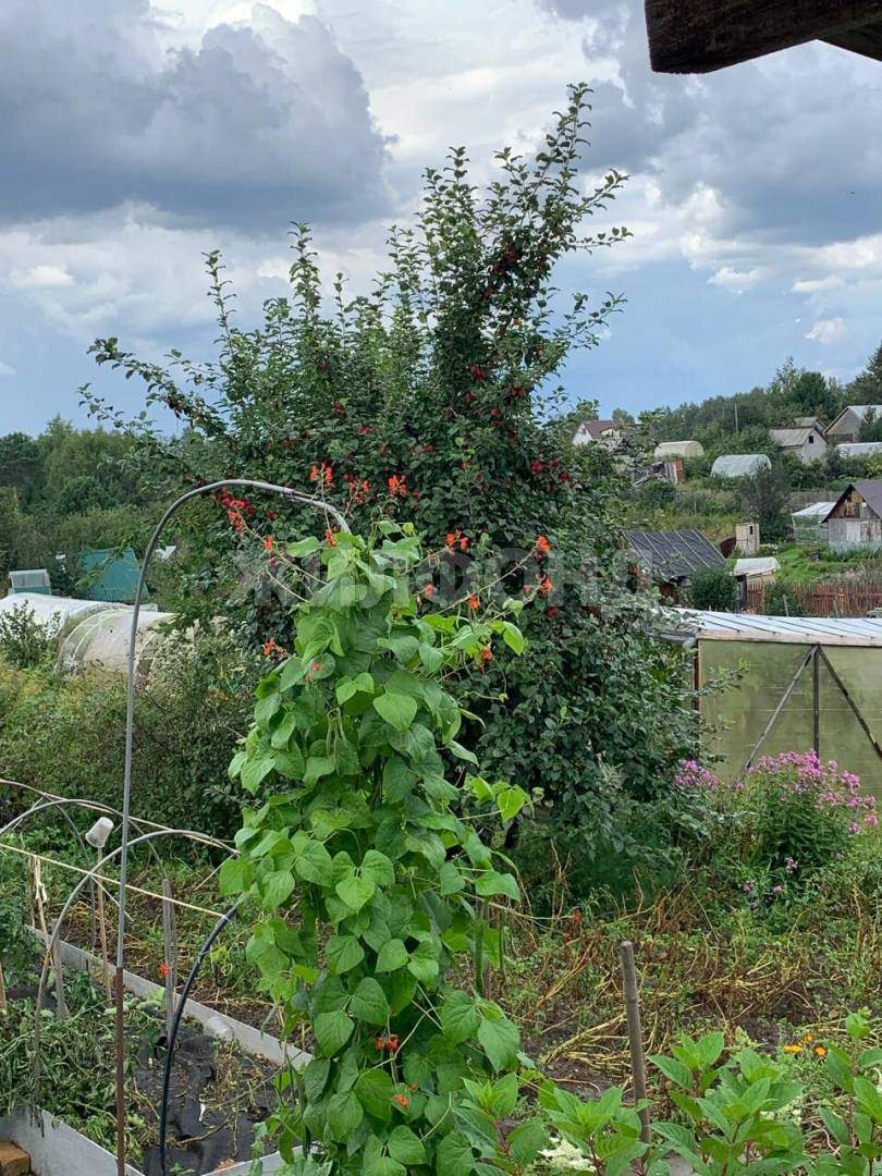 Продам земельный участок 600 м.кв.