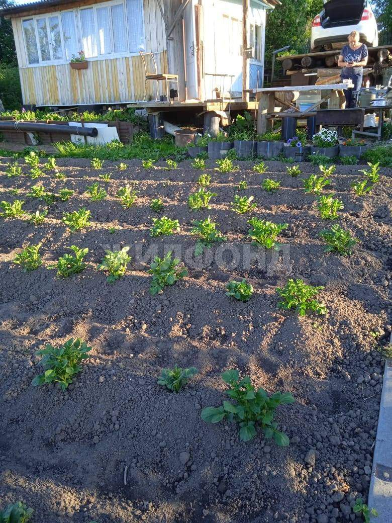 Продам земельный участок 600 м.кв.