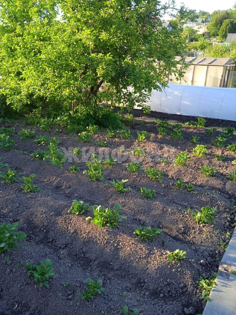 Продам земельный участок 600 м.кв.