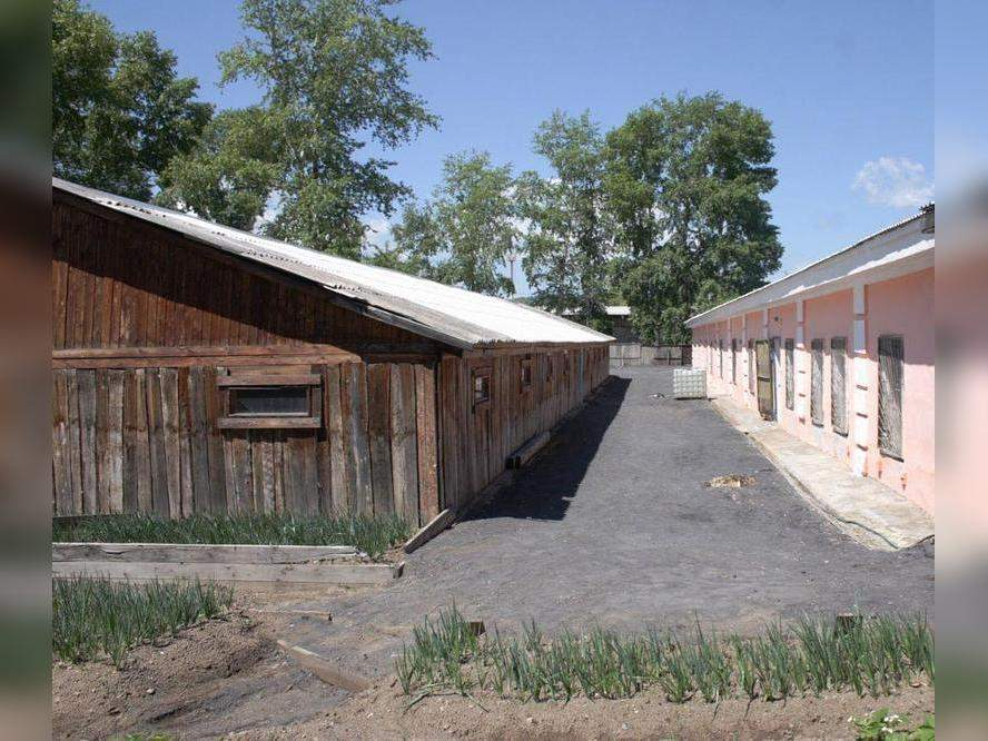 Продам помещение свободного назначения 523 м.кв.