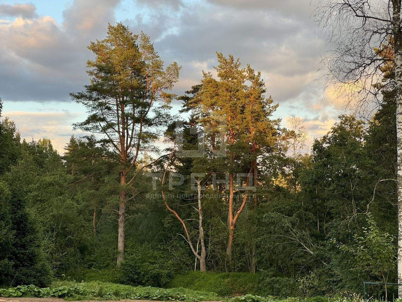 Продам земельный участок 1500 м.кв.