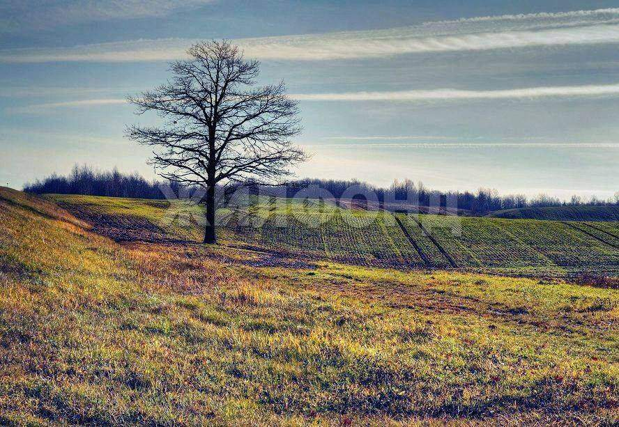 Продам земельный участок 84355 м.кв.