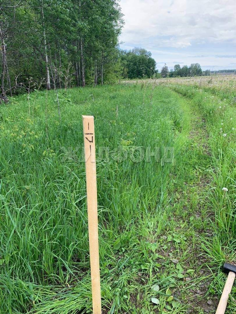 Продам земельный участок 24000 м.кв.