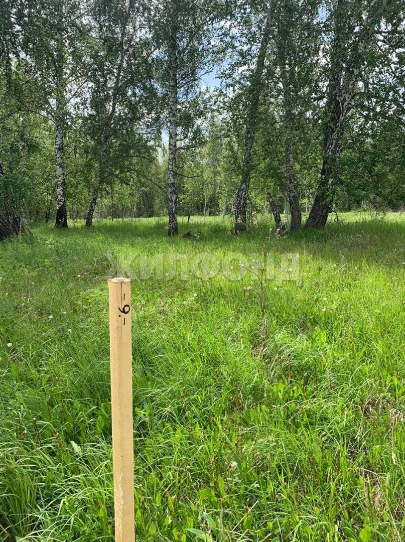 Продам земельный участок 24000 м.кв.