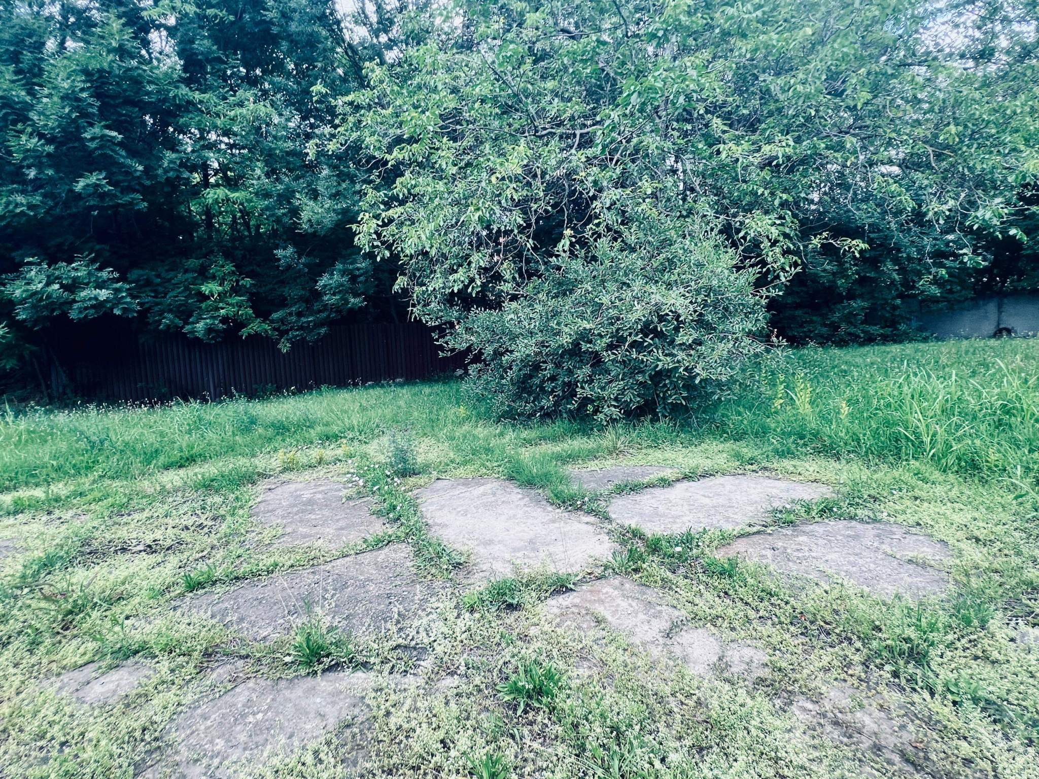 Продам помещение свободного назначения 71.8 м.кв.