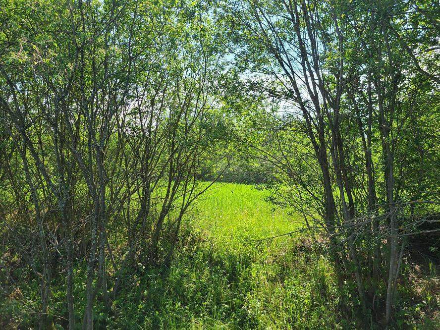 Продам земельный участок 915 м.кв.