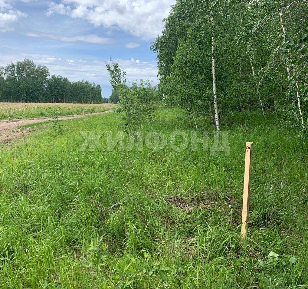 Продам земельный участок 24000 м.кв.