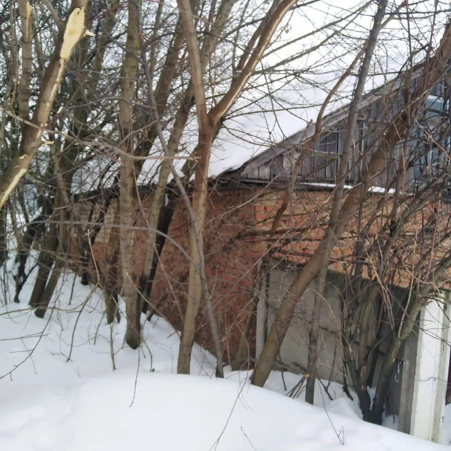 Продам торговое помещение 65.9 м.кв.