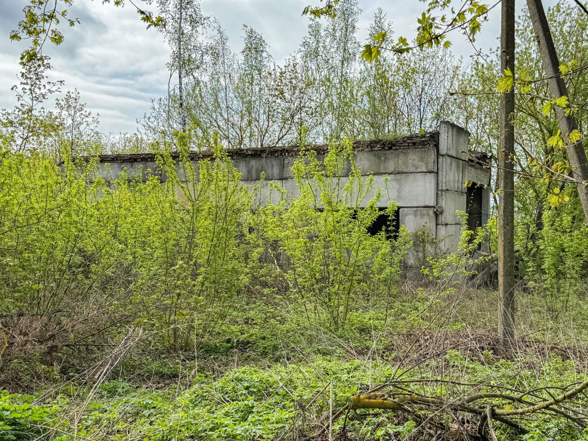 Продам торговое помещение 180 м.кв.