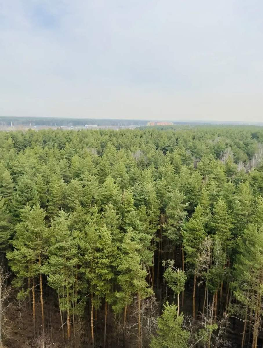 Квартира на продажу в Апрелевке, Дубки улица, 17 фото №17