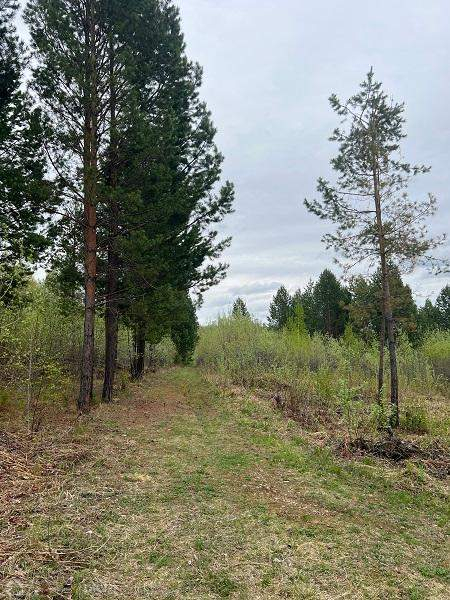 Продам земельный участок 2000 м.кв.