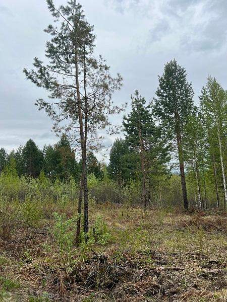 Продам земельный участок 2000 м.кв.