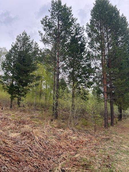 Продам земельный участок 2000 м.кв.