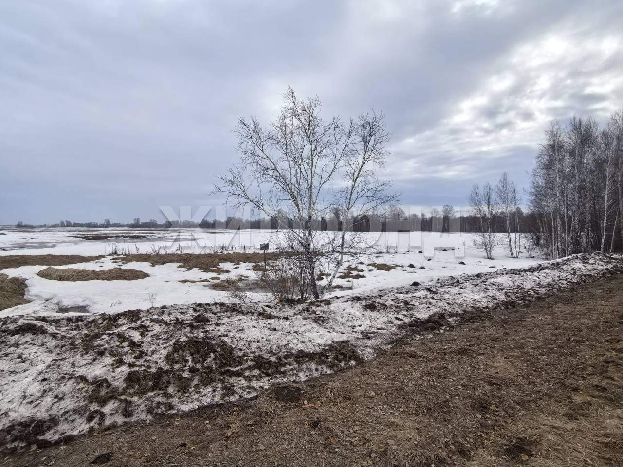 Продам земельный участок 2340300 м.кв.