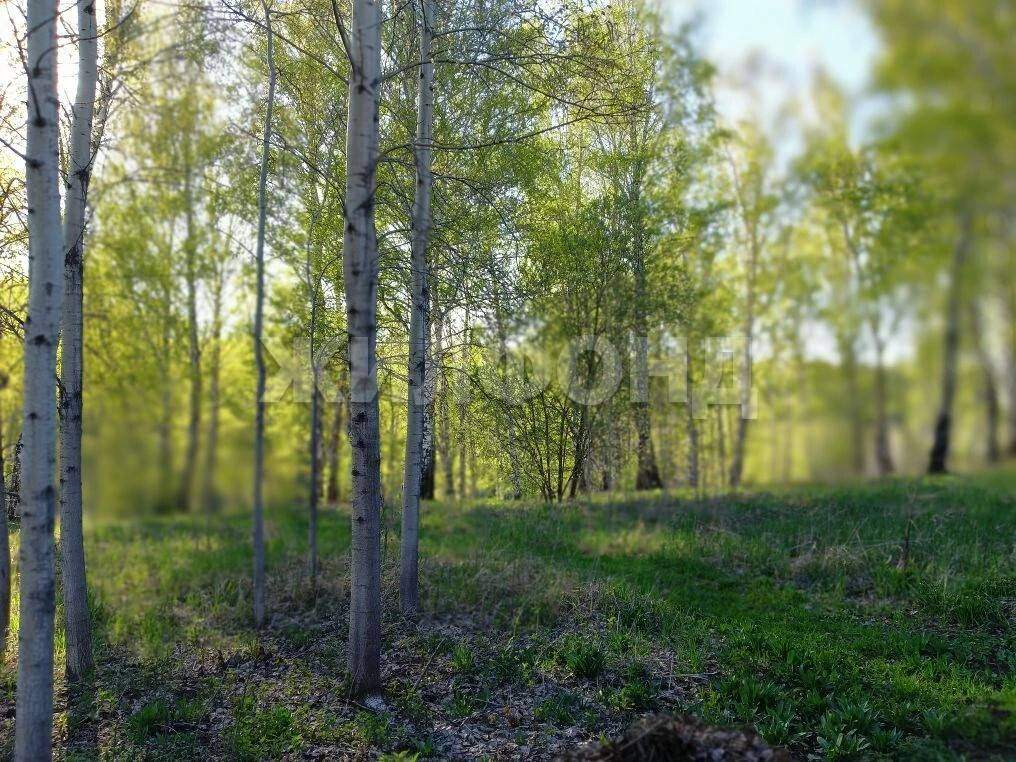 Продам земельный участок 900 м.кв.