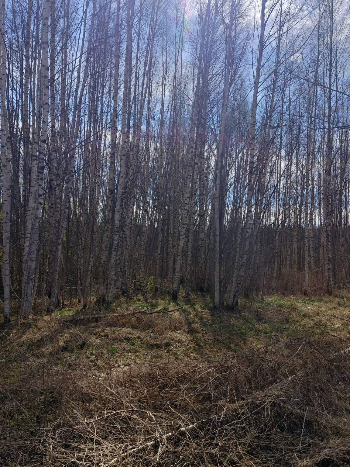 Продам земельный участок 4200 м.кв.