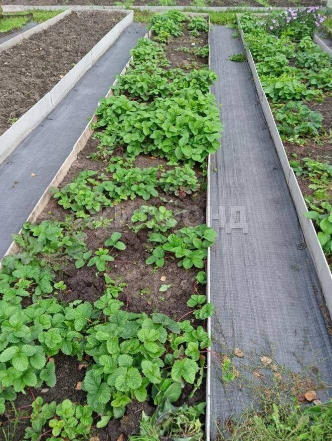 Продам земельный участок 900 м.кв.