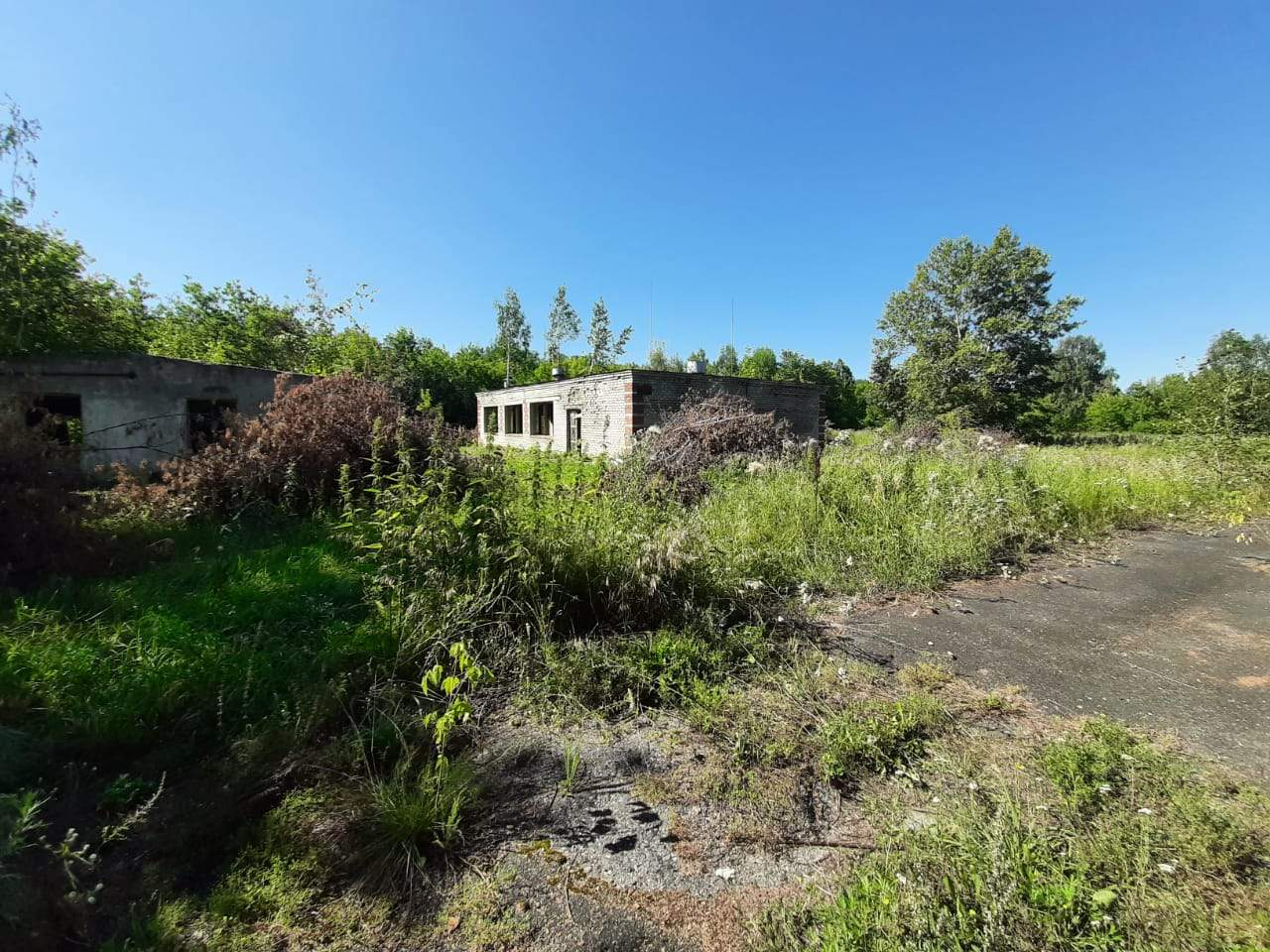 Продам торговое помещение 1350.6 м.кв.