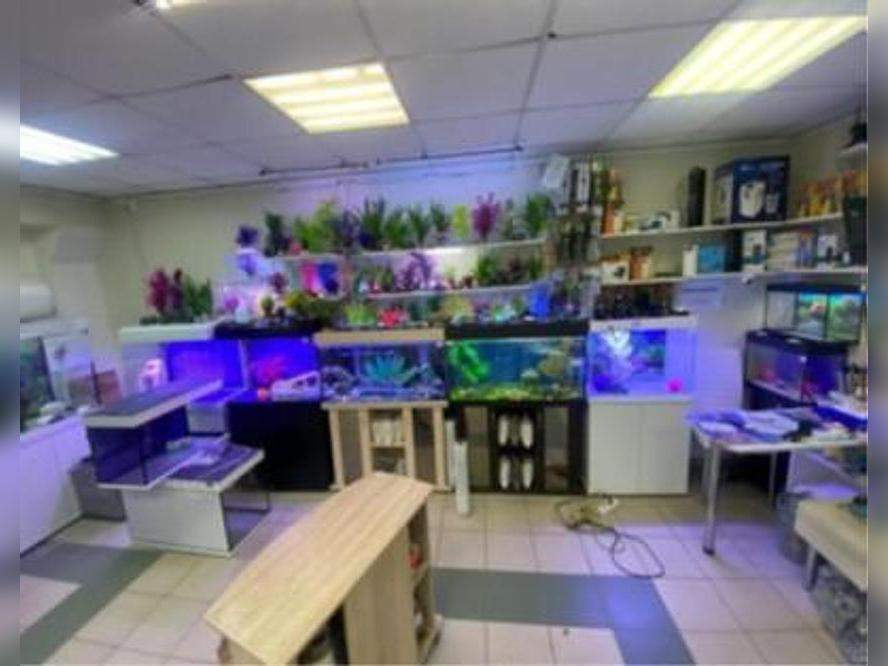 Продам магазин 179.5 м.кв.