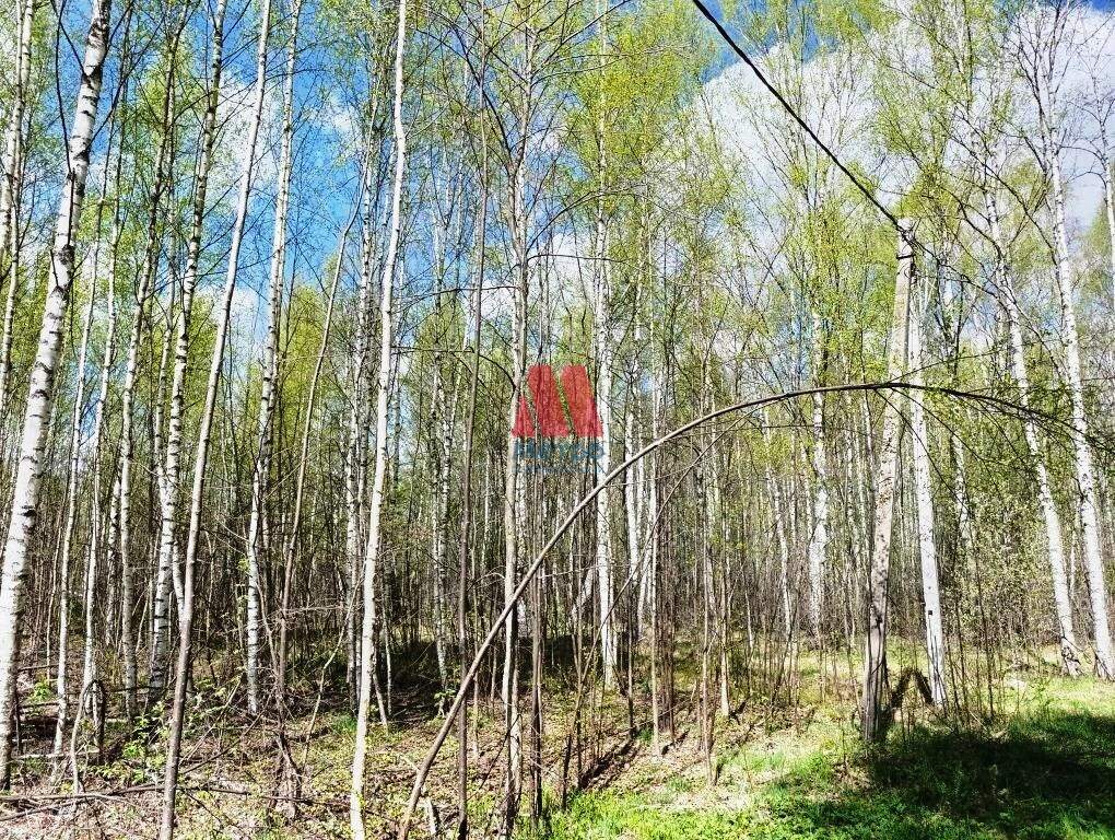 Продам земельный участок 1700 м.кв.