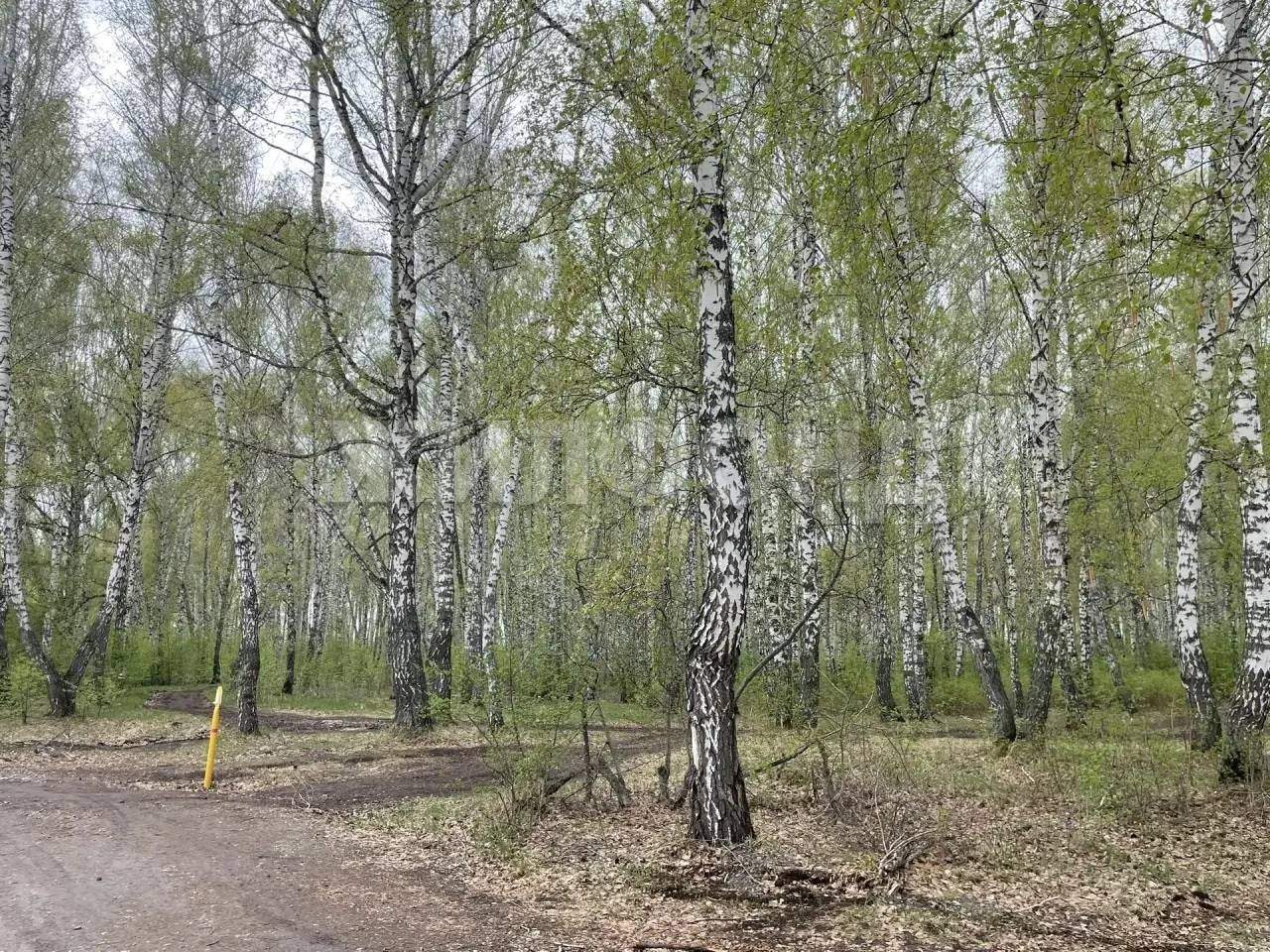 Продам земельный участок 800 м.кв.