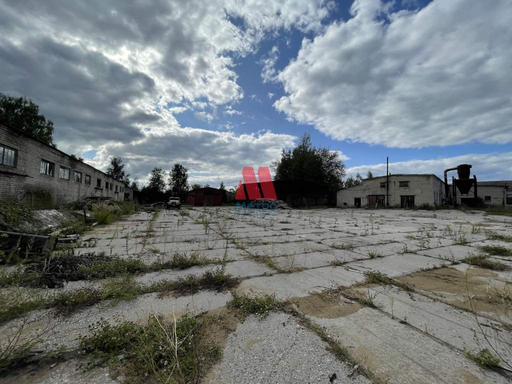 Производство на продажу в Буйе, Лаврово местечко, 1 фото №15