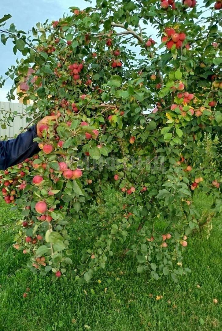 Продам земельный участок 521 м.кв.