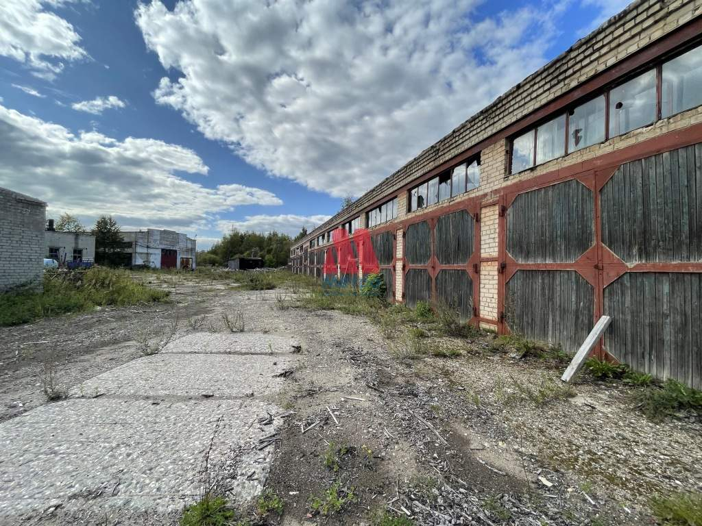Производство на продажу в Буйе, Лаврово местечко, 1 фото №18