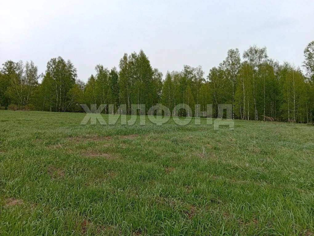 Продам земельный участок 4480 м.кв.