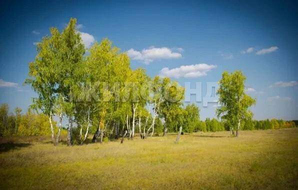 Продам земельный участок 4560 м.кв.