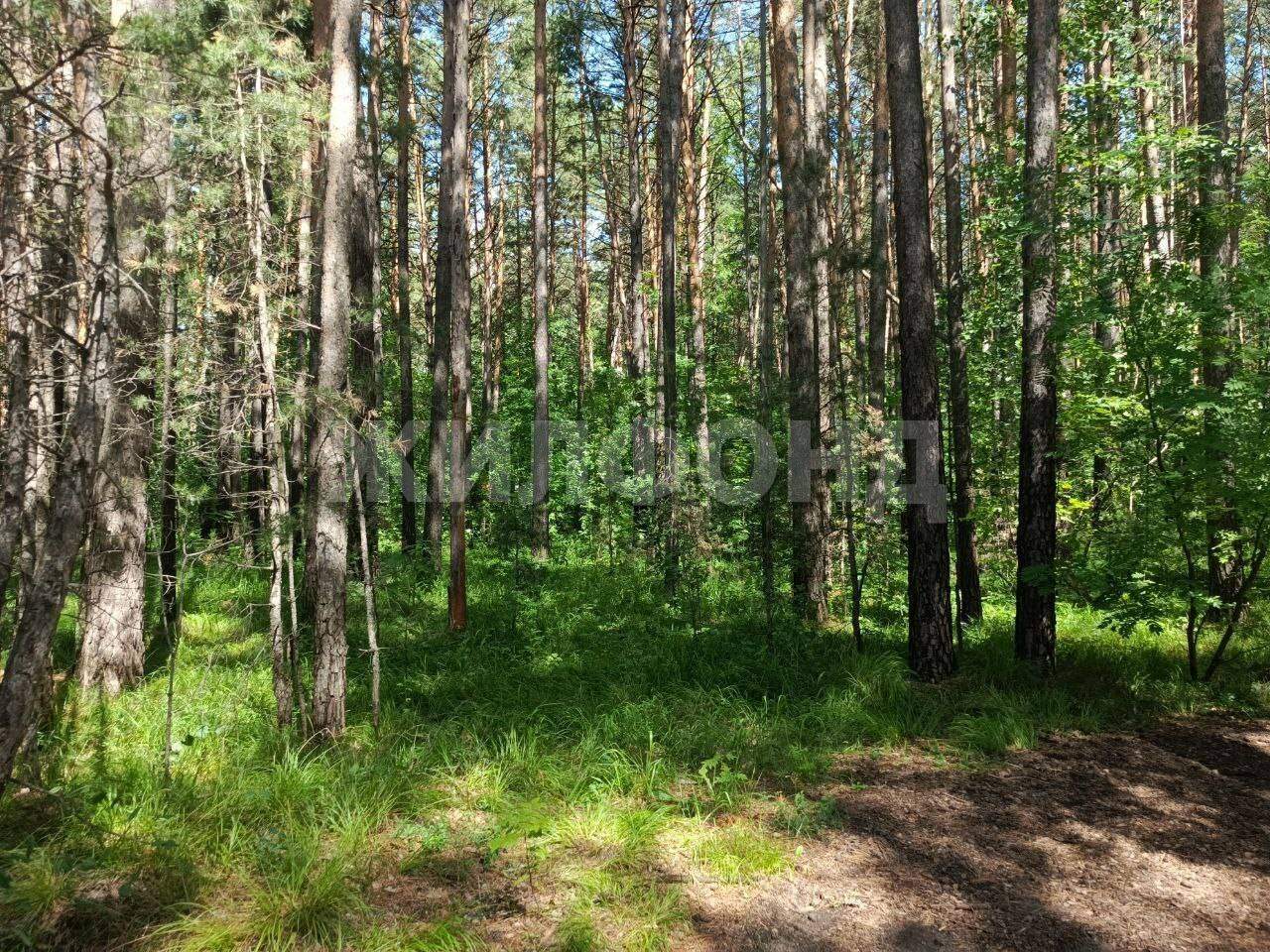 Продам земельный участок 1200 м.кв.
